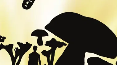 ,,Grafiniai eksperimentai: kūrybinės šešėlių teatro dirbtuvės“  