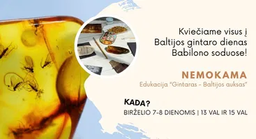 Edukacija "Gintaras - Baltijos auksas"