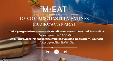 Gyvo garso instrumentinės muzikos vakarai 05-23/24