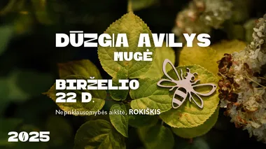 Mugė DŪZGIA AVILYS Rokiškyje 2025