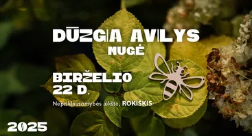 Mugė DŪZGIA AVILYS Rokiškyje 2025