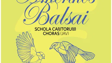 AMERIKOS BALSAI Kaune | Schola Cantorum (JAV) | NEMOKAMAS