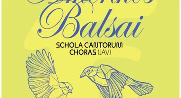 AMERIKOS BALSAI Kaune | Schola Cantorum (JAV) | NEMOKAMAS
