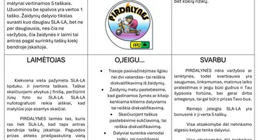 Motožaidynės PIRDALYNĖS-2
