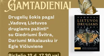 Drugelių šokis: gamtos grožis ir kultūrinės metaforos