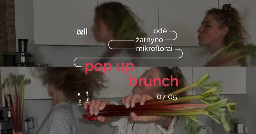 Young Cell | Pop up brunch Young Cell | Pop up brunch