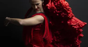  Koncertas „Saulės miesto flamenkas“ 