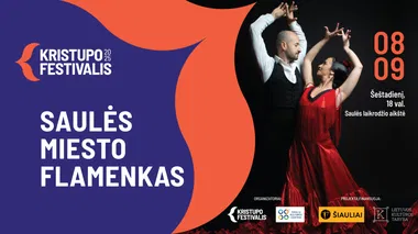  Koncertas „Saulės miesto flamenkas“ 