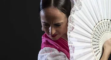  Koncertas „Saulės miesto flamenkas“ 