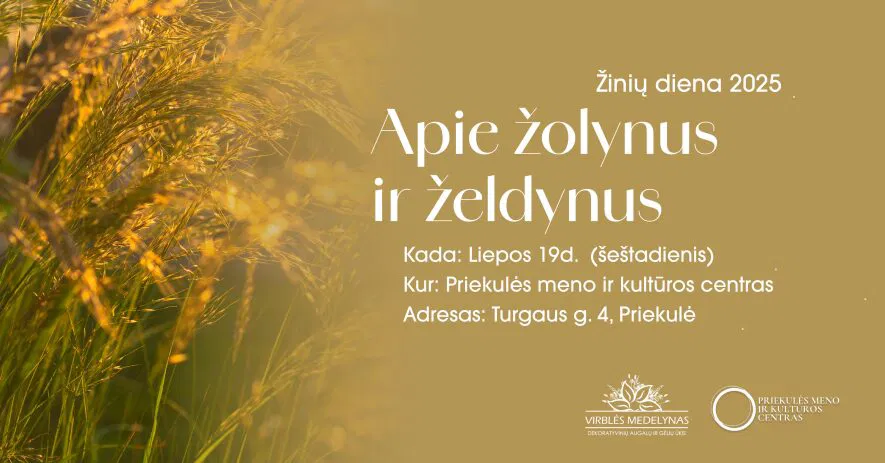 Konferencija Konferencija