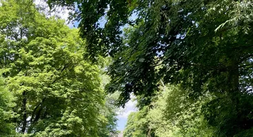 Šlapia ekskursija Vilnele - River Hiking LT