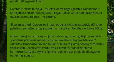 Mėlynių festivalis 2025
