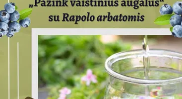 Mėlynių festivalis 2025