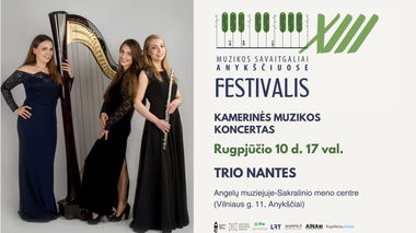 Kamerinės muzikos koncertas: Trio nantes