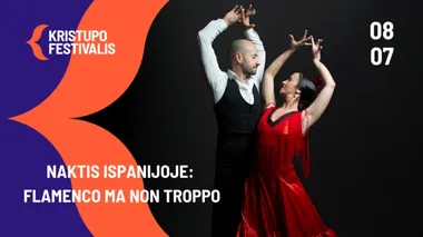 NAKTIS ISPANIJOJE - FLAMENCO MA NON TROPPO