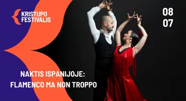 NAKTIS ISPANIJOJE - FLAMENCO MA NON TROPPO