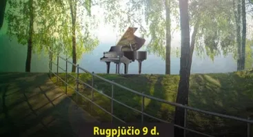 Jaunųjų akademija