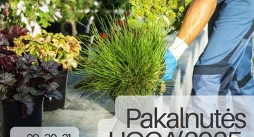 Mugė "Pakalnutės uoga