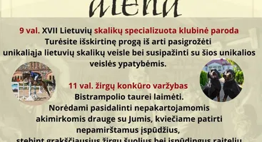 XXIII Bistrampolio festivalis | Bistrampolio diena