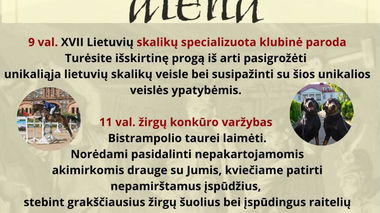 XXIII Bistrampolio festivalis | Bistrampolio diena