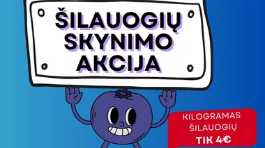Šilauogių Skynimo Akcija