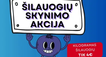 Šilauogių Skynimo Akcija