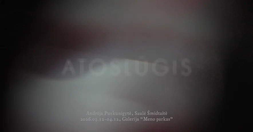 Andrėjos Puskunigytės ir Saulės Šmidtaitės paroda „Atoslūgis“