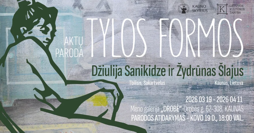 TYLOS FORMOS // DŽIULIJA SANIKIDZE IR ŽYDRŪNAS ŠLAJUS