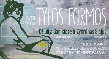 TYLOS FORMOS // DŽIULIJA SANIKIDZE IR ŽYDRŪNAS ŠLAJUS