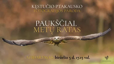 Kęstučio Ptakausko fotografijų parodos „Paukščiai. Metų ratas“ atidarymas