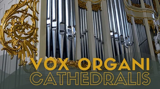 Vox organi Cathedralis 2026. DAILIUS KAVALEVSKIS, event in Vilnius