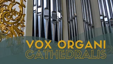Vox organi Cathedralis 2026. INDRĖ GERIKAITĖ