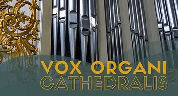 Vox organi Cathedralis 2026. INDRĖ GERIKAITĖ