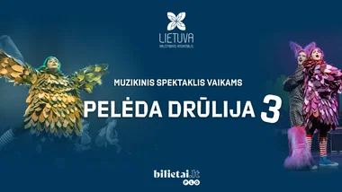 (Marijampolė) Pelėda Drūlija 3 | diena NE