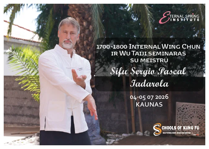 1700–1800 Internal Wing Chun ir Wu Taiji seminaras