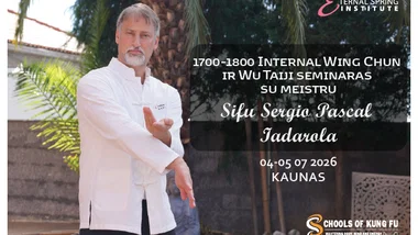 1700–1800 Internal Wing Chun ir Wu Taiji seminaras