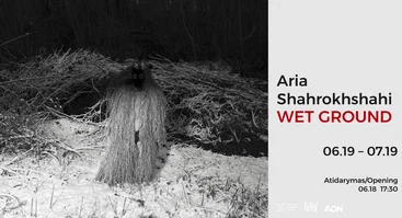 Apie Ukrainą asmeniškai: Aria Shahrokhshahi paroda „Wet Ground“.