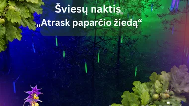 Joninės Šventojoje 2026. Šviesų naktis „Atrask paparčio žiedą“