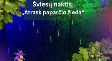 Joninės Šventojoje 2026. Šviesų naktis „Atrask paparčio žiedą“
