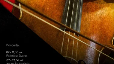 Liepsnojanti Violončelė