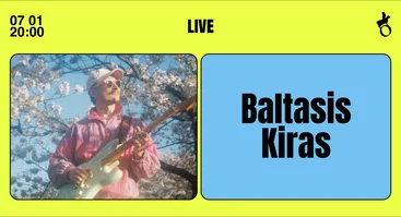 Baltasis kiras | Vasaros terasa