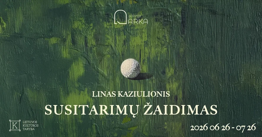 Linas Kaziulionis | Susitarimų žaidimas