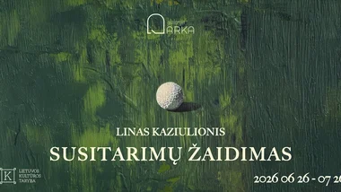Linas Kaziulionis | Susitarimų žaidimas