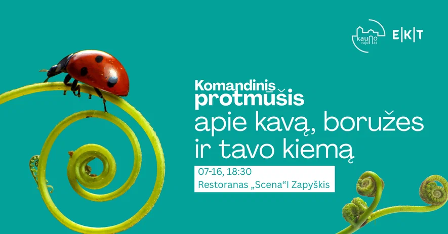 Komandinis protmūšis Zapyškyje