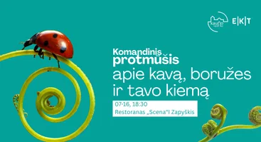 Komandinis protmūšis Zapyškyje