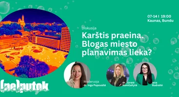 Diskusija apie miesto prisitaikymą prie karščio bangų