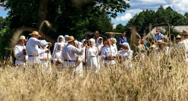 Rugiapjūtė Arklio muziejuje