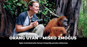 ORANG UTAN – MIŠKO ŽMOGUS | Fotografijų parodos atidarymas