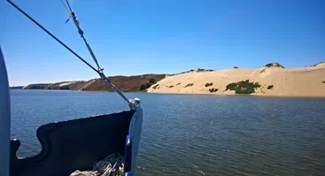 Dienos kruizas laivu Forelle  iš Klaipėdos į Juodkrantę ir iki mirusių kopų 