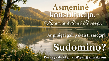 Asmenybės ir verslo mentorystė